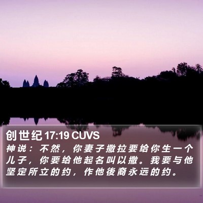 创 世 纪 17:19 CUVS Bible Verse Image
