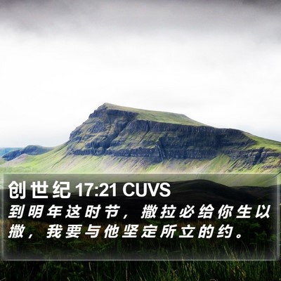 创 世 纪 17:21 CUVS Bible Verse Image