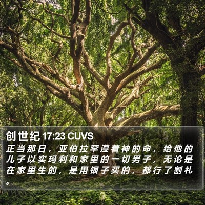 创 世 纪 17:23 CUVS Bible Verse Image