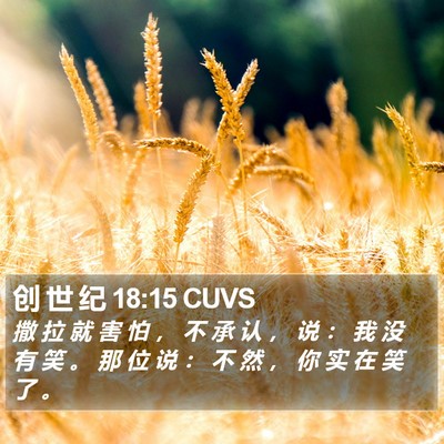 创 世 纪 18:15 CUVS Bible Verse Image