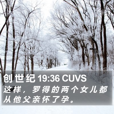 创 世 纪 19:36 CUVS Bible Verse Image