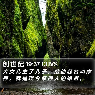 创 世 纪 19:37 CUVS Bible Verse Image