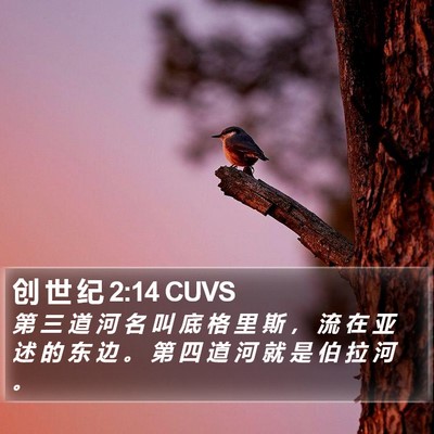 创 世 纪 2:14 CUVS Bible Verse Image