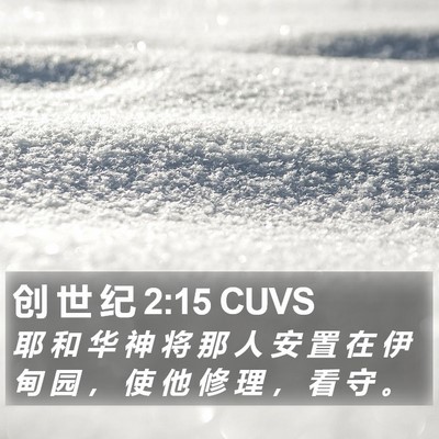 创 世 纪 2:15 CUVS Bible Verse Image