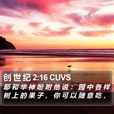 创 世 纪 2:16 CUVS Bible Verse Image
