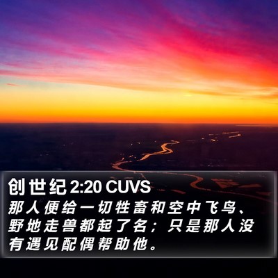创 世 纪 2:20 CUVS Bible Verse Image