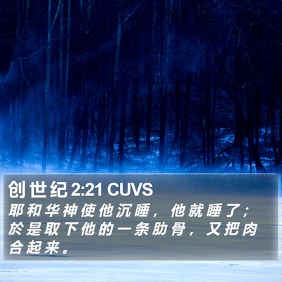 创 世 纪 2:21 CUVS Bible Verse Image