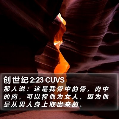 创 世 纪 2:23 CUVS Bible Verse Image