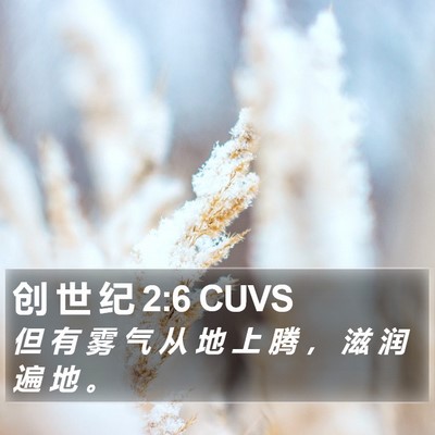 创 世 纪 2:6 CUVS Bible Verse Image