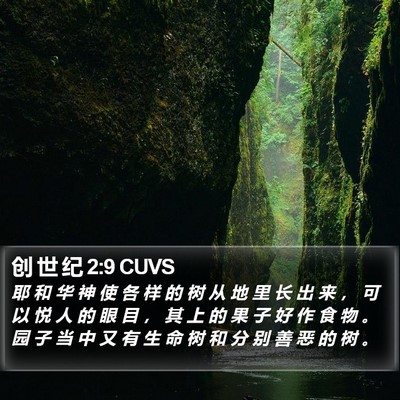 创 世 纪 2:9 CUVS Bible Verse Image