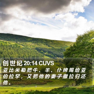 创 世 纪 20:14 CUVS Bible Verse Image
