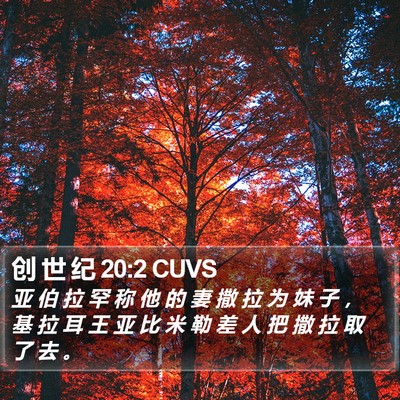 创 世 纪 20:2 CUVS Bible Verse Image