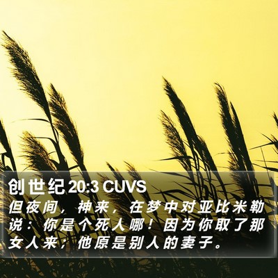 创 世 纪 20:3 CUVS Bible Verse Image