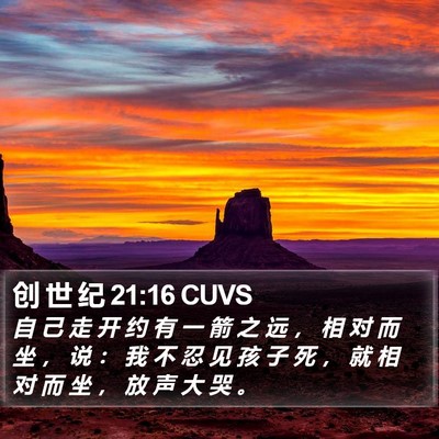 创 世 纪 21:16 CUVS Bible Verse Image