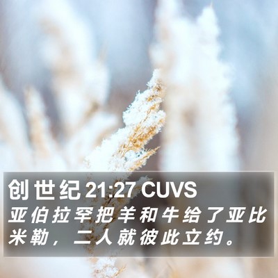 创 世 纪 21:27 CUVS Bible Verse Image