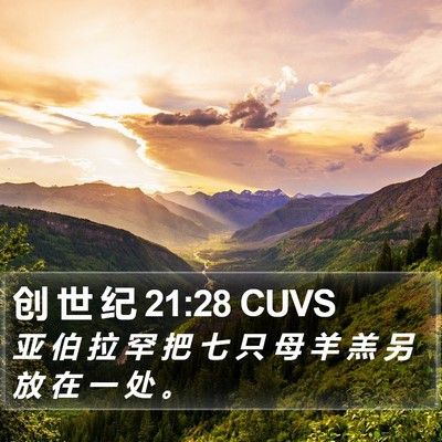 创 世 纪 21:28 CUVS Bible Verse Image