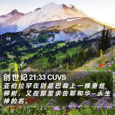 创 世 纪 21:33 CUVS Bible Verse Image