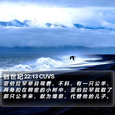 创 世 纪 22:13 CUVS Bible Verse Image