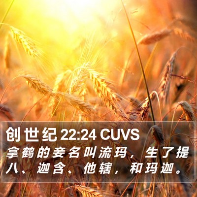 创 世 纪 22:24 CUVS Bible Verse Image