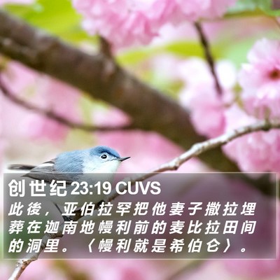 创 世 纪 23:19 CUVS Bible Verse Image