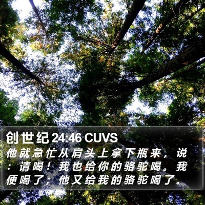 创 世 纪 24:46 CUVS Bible Verse Image