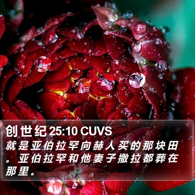 创 世 纪 25:10 CUVS Bible Verse Image