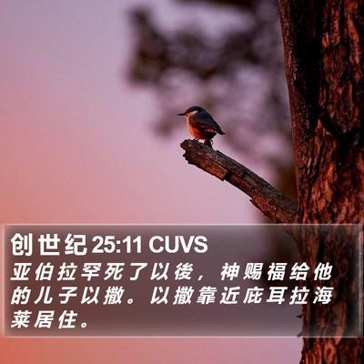 创 世 纪 25:11 CUVS Bible Verse Image
