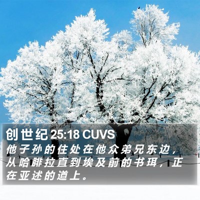 创 世 纪 25:18 CUVS Bible Verse Image