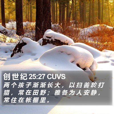 创 世 纪 25:27 CUVS Bible Verse Image
