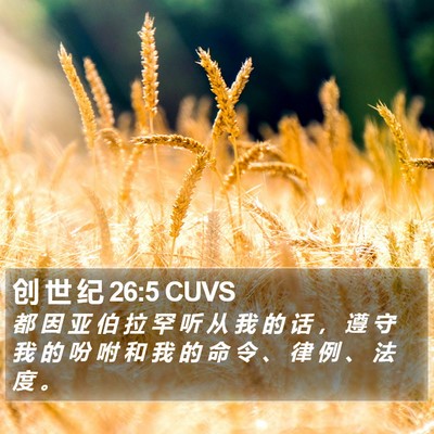 创 世 纪 26:5 CUVS Bible Verse Image