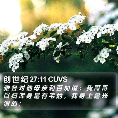 创 世 纪 27:11 CUVS Bible Verse Image