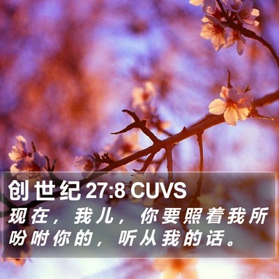 创 世 纪 27:8 CUVS Bible Verse Image