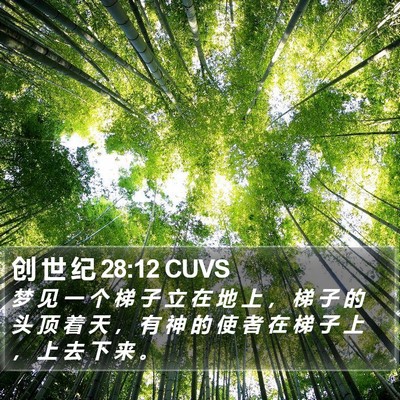 创 世 纪 28:12 CUVS Bible Verse Image