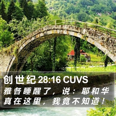 创 世 纪 28:16 CUVS Bible Verse Image