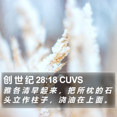 创 世 纪 28:18 CUVS Bible Verse Image