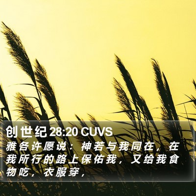 创 世 纪 28:20 CUVS Bible Verse Image