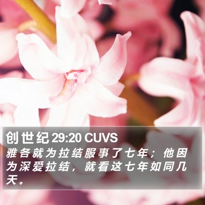 创 世 纪 29:20 CUVS Bible Verse Image