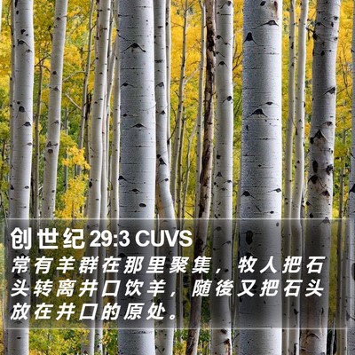 创 世 纪 29:3 CUVS Bible Verse Image