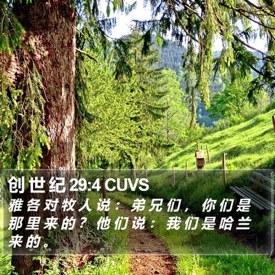创 世 纪 29:4 CUVS Bible Verse Image