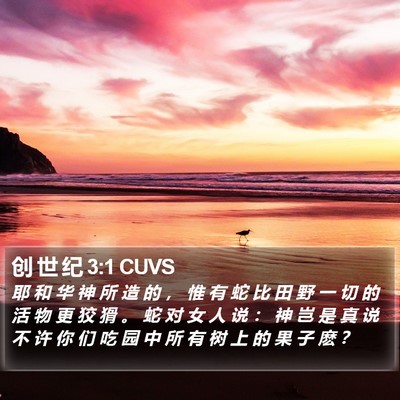 创 世 纪 3:1 CUVS Bible Verse Image