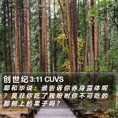 创 世 纪 3:11 CUVS Bible Verse Image