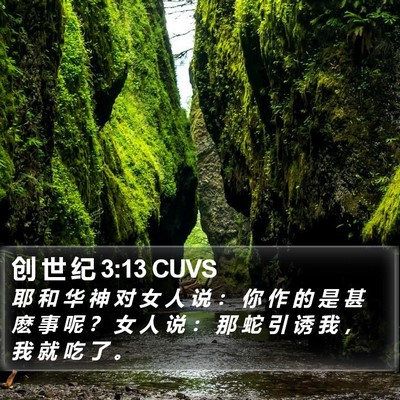 创 世 纪 3:13 CUVS Bible Verse Image