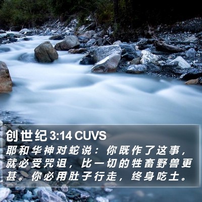 创 世 纪 3:14 CUVS Bible Verse Image