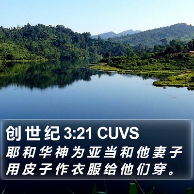 创 世 纪 3:21 CUVS Bible Verse Image