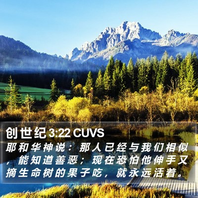 创 世 纪 3:22 CUVS Bible Verse Image