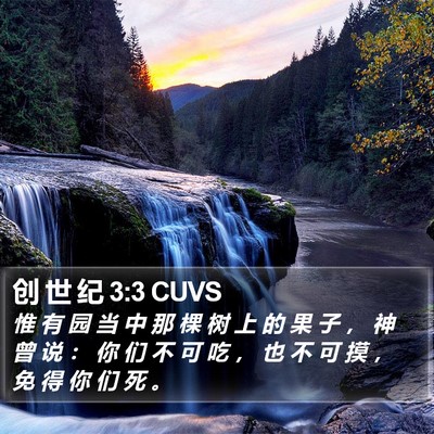 创 世 纪 3:3 CUVS Bible Verse Image