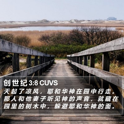 创 世 纪 3:8 CUVS Bible Verse Image