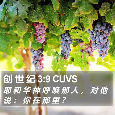 创 世 纪 3:9 CUVS Bible Verse Image
