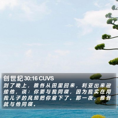 创 世 纪 30:16 CUVS Bible Verse Image