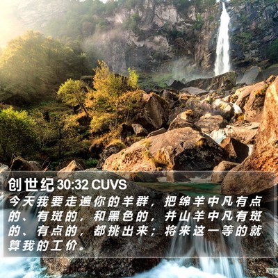 创 世 纪 30:32 CUVS Bible Verse Image